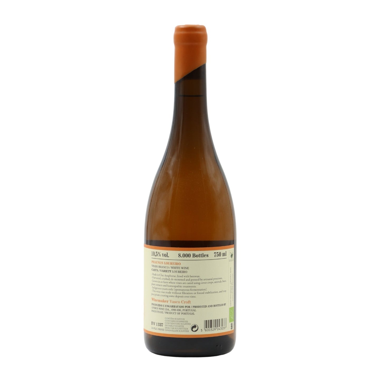 Phaunus Amphora White Laurel 2022