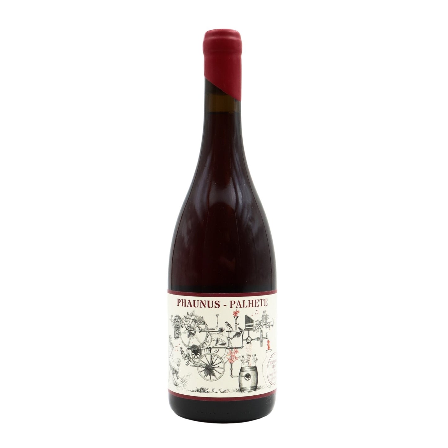 Phaunus Amphora Palhete Tinto 2022