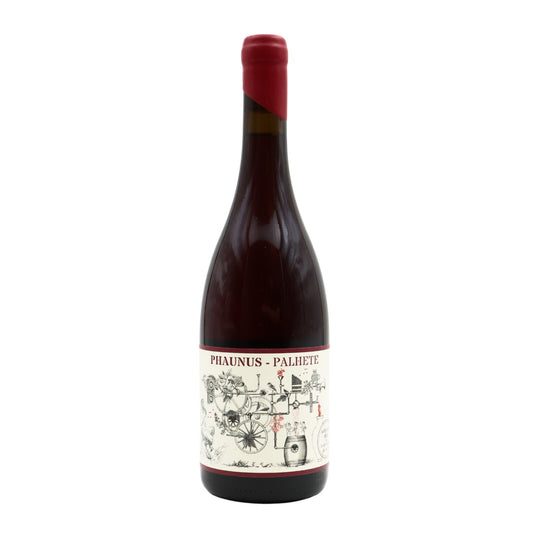 Phaunus Amphora Palhete Red 2022