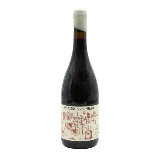 Phaunus Amphora Red Wine 2020