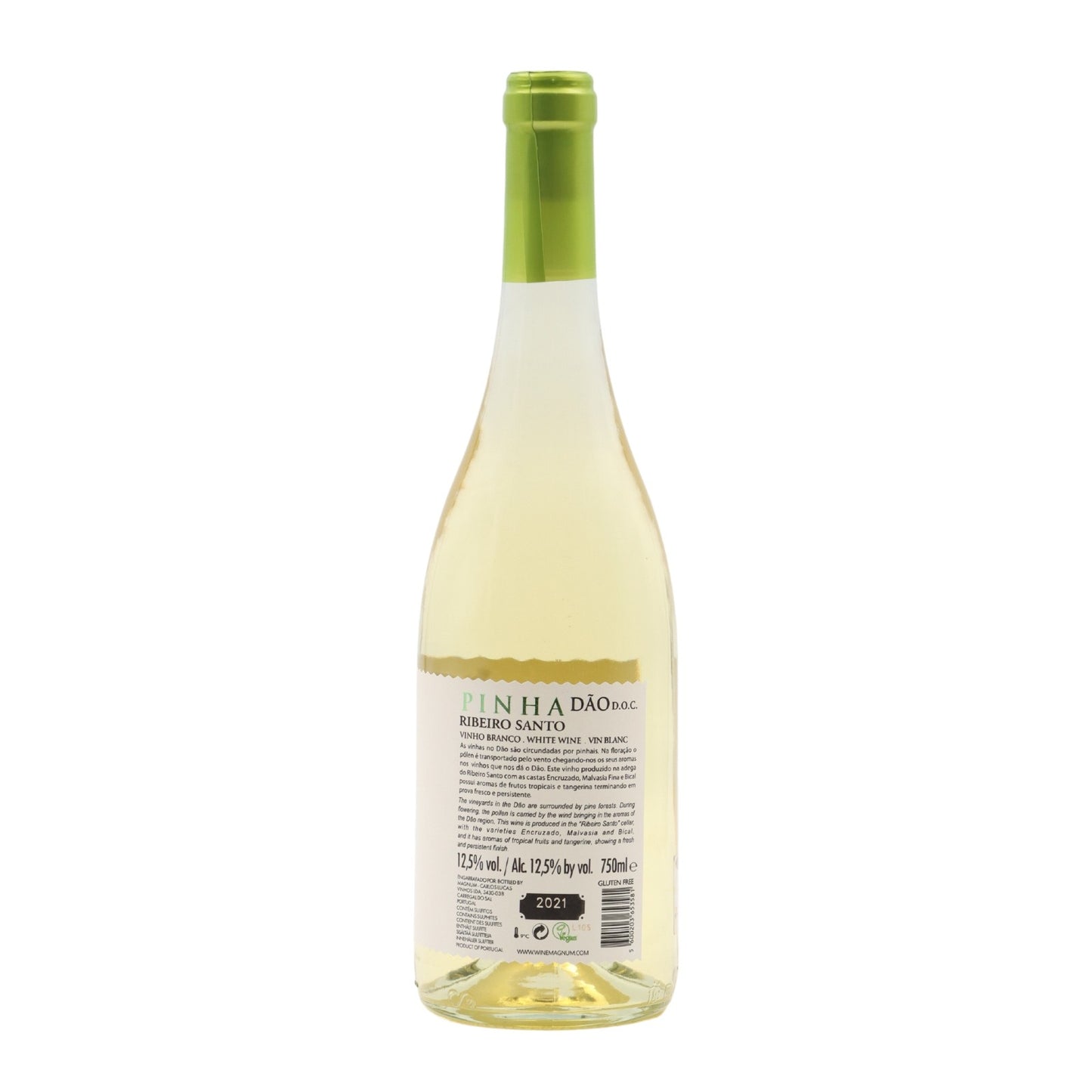 Pineapple from Ribeiro Santo Branco 2023