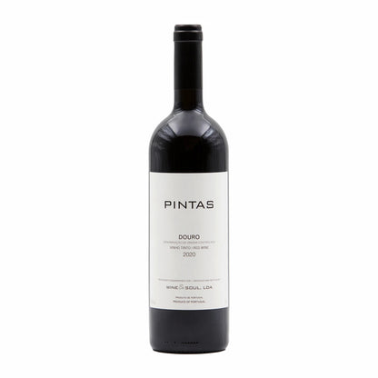 Pintas Tinto 2021