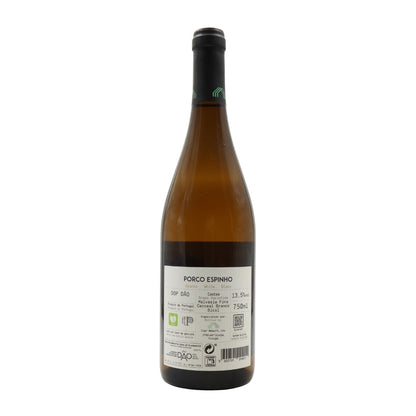 White Porcupine 2023