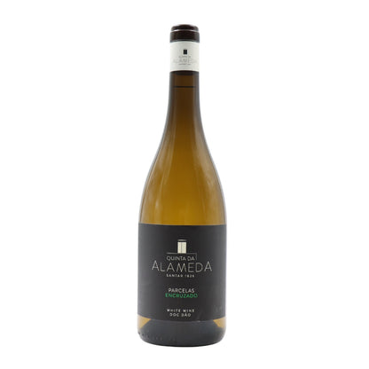 Quinta da Alameda Plots Encruzado White 2023
