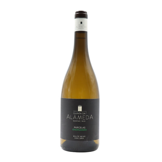Quinta da Alameda Plots Encruzado White 2023