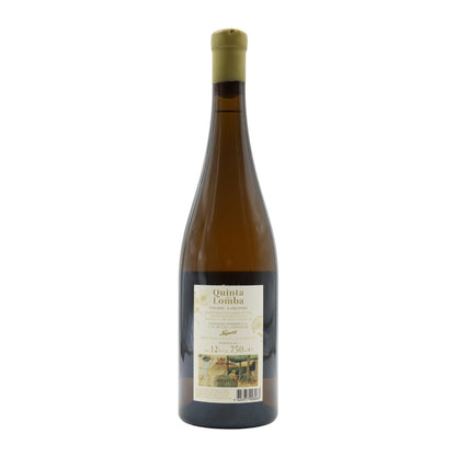 White Winery 2016