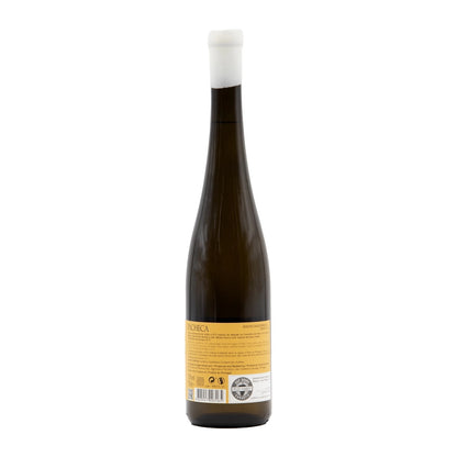 Quinta da Pacheca Moscatel Galego Branco 2022