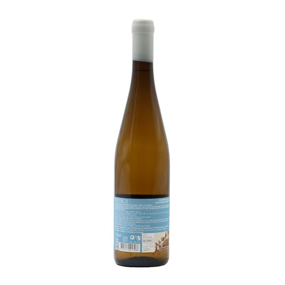 Quinta da Pacheca Sauvignon Blanc Branco