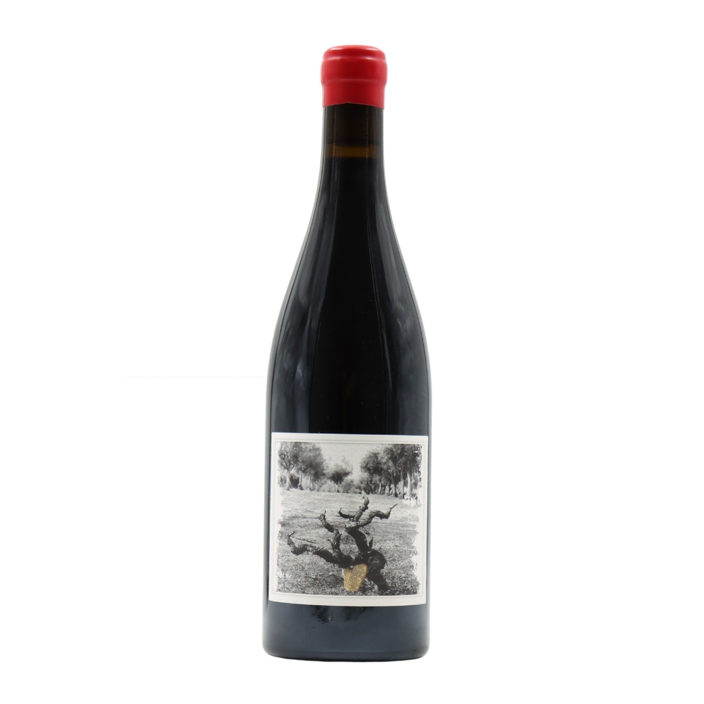 Quinta da Pellada Muleta Tinto