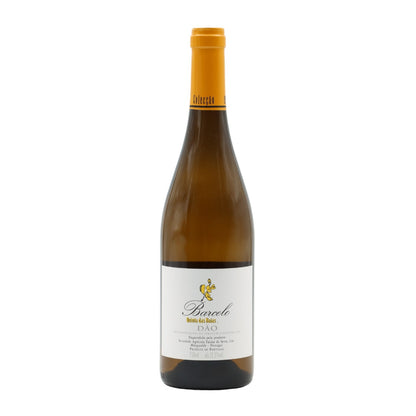 Barcelo White 2021