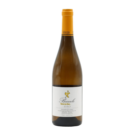 Barcelo White 2021