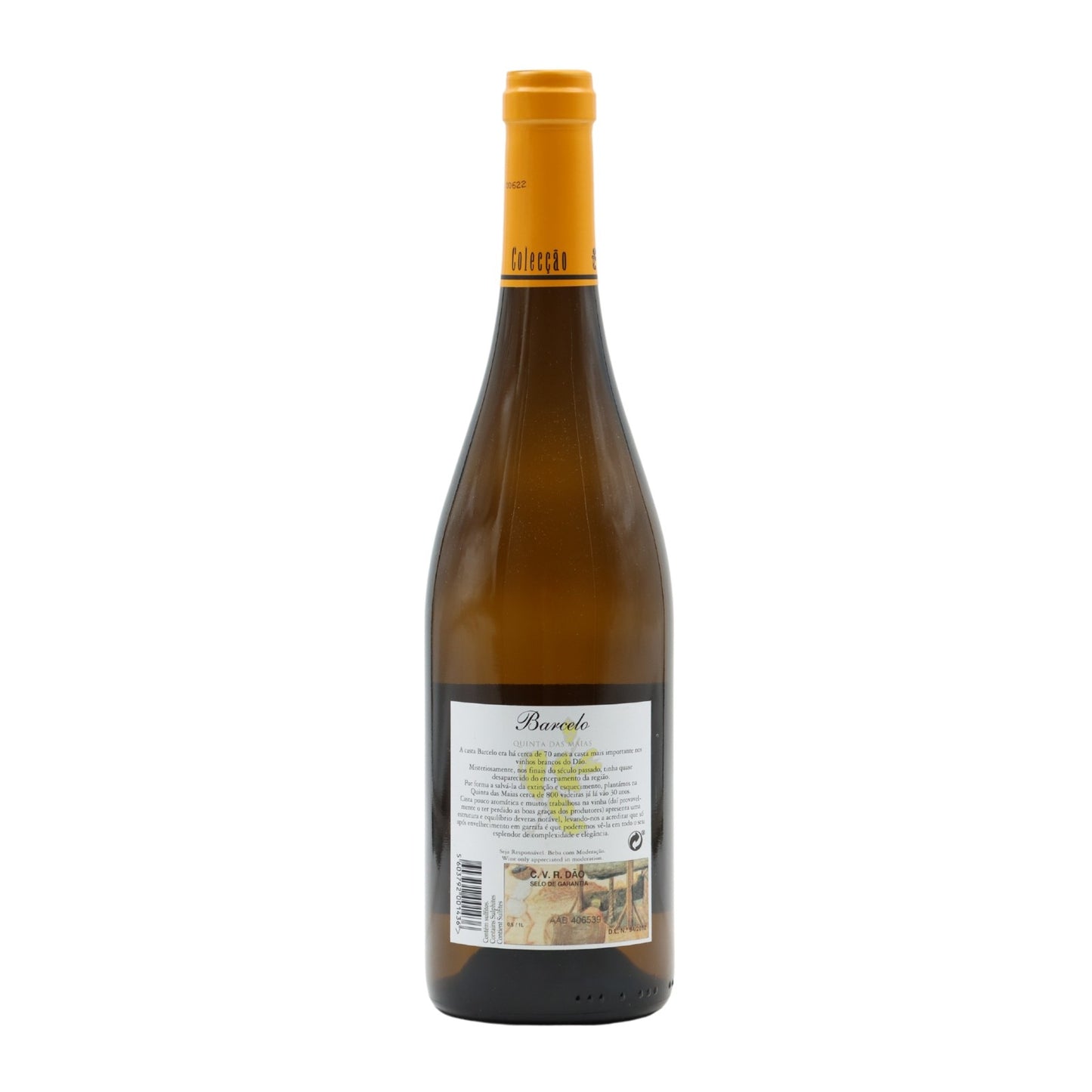 Barcelo White 2021