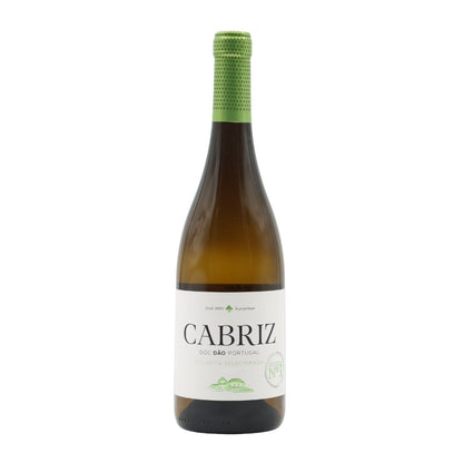 Quinta de Cabriz Selected Harvest White 2023