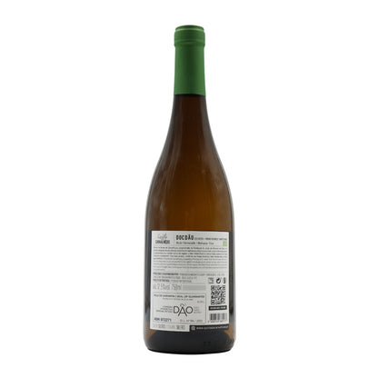 White Wine 2022
