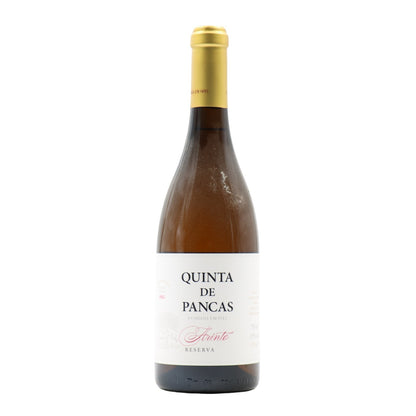 Quinta de Pancas Reserva Branco 2023