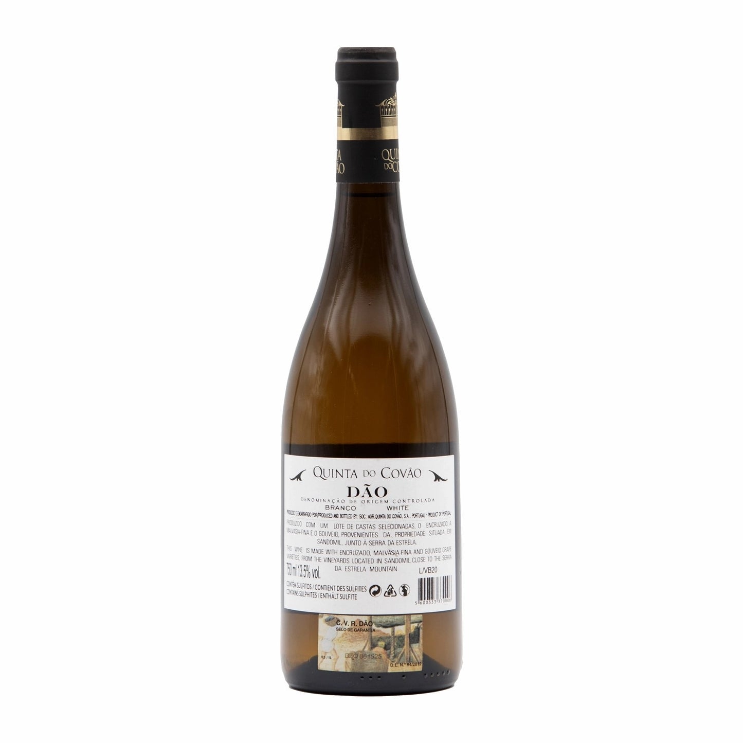 Quinta do Covão Branco 2019