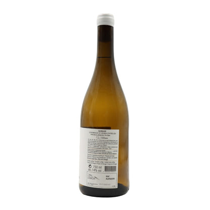 New Arinto White 2021