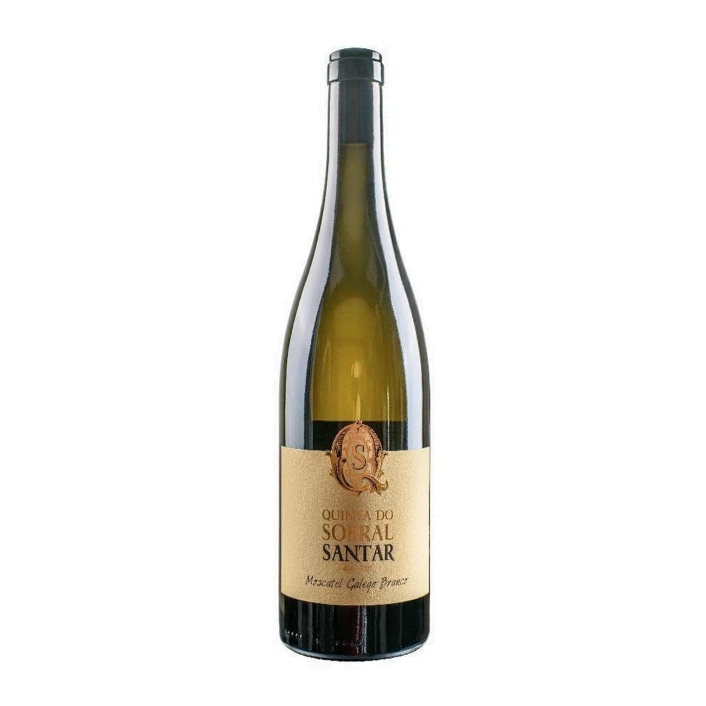 Quinta do Sobral de Santar Moscatel Galego Branco