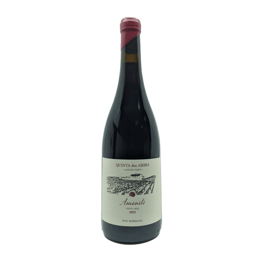 Abibes Amonite Tinto