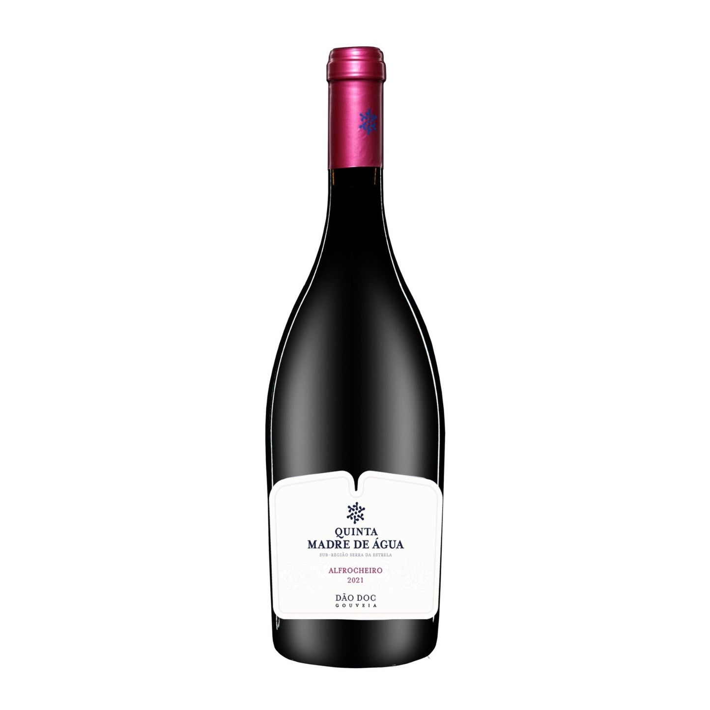 Alfrocheiro Red Wine 2021