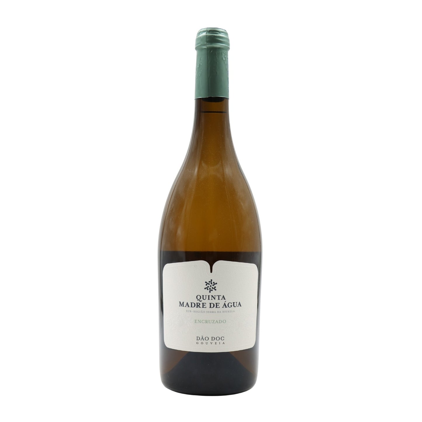 White Winery 2021