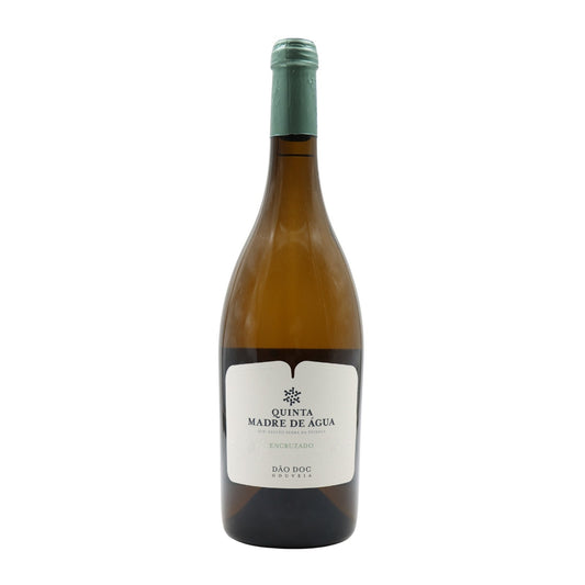 White Winery 2021