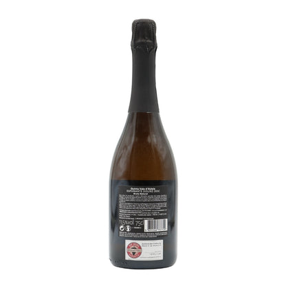 Quinta Vale D´Aldeia Bruto Nature Sparkling Wine 2020