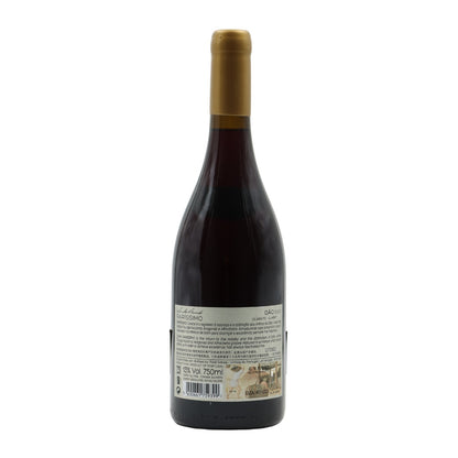 Raríssimo Clarete Dão Tinto 2016