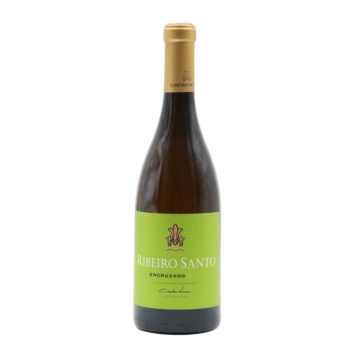 Ribeiro Santo Encruzado Branco