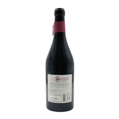 Rosa da Mata Alfrocheiro Tinto