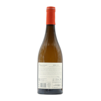 Memórias de Santar Branco