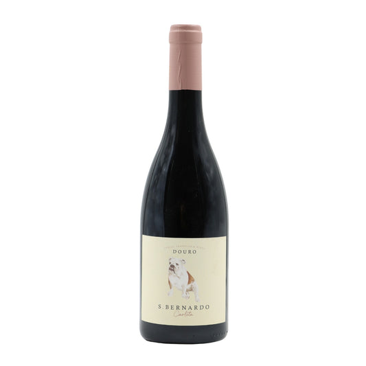 Saint Bernard Carlota Red 2015