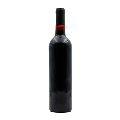 Sidónio de Sousa Merlot Tinto 2015