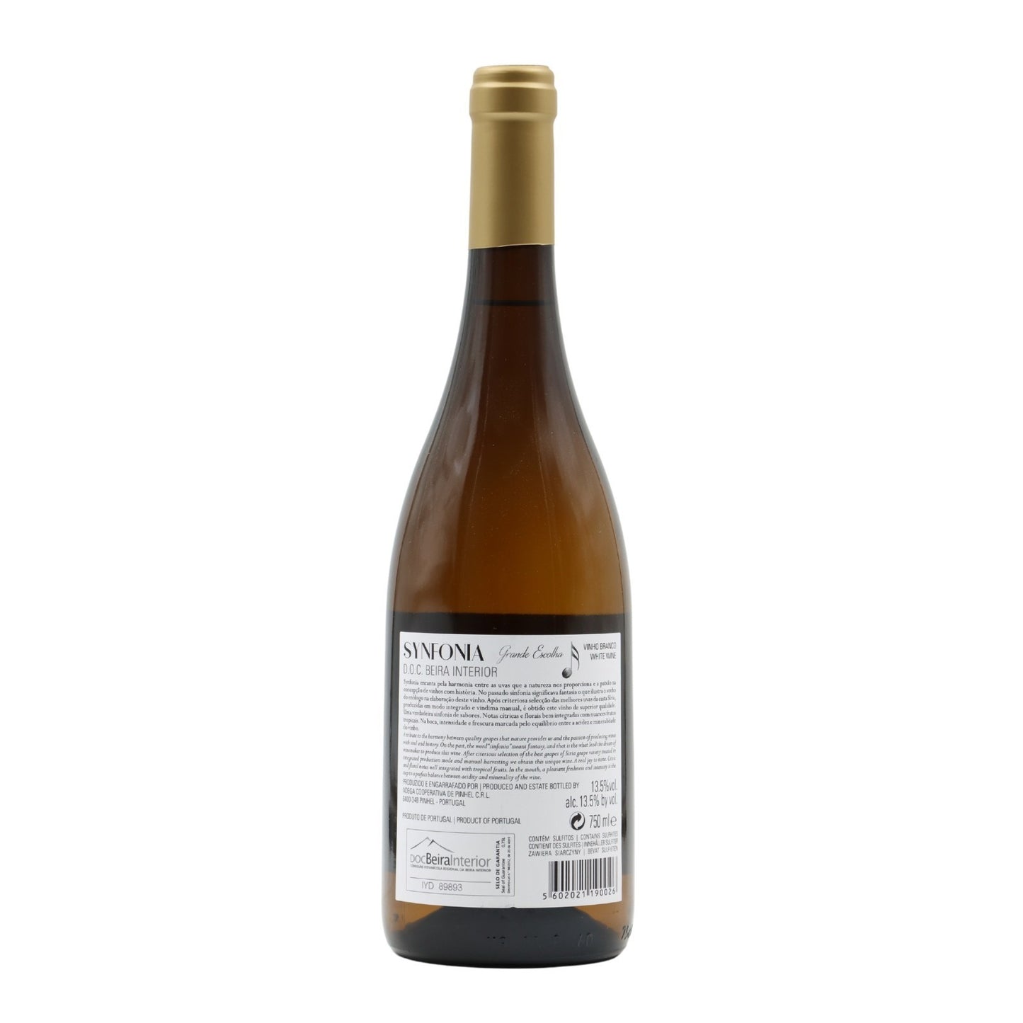 Synfonia Grande Escolha Síria Branco