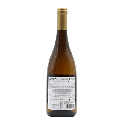 Synfonia Grande Escolha Síria Branco