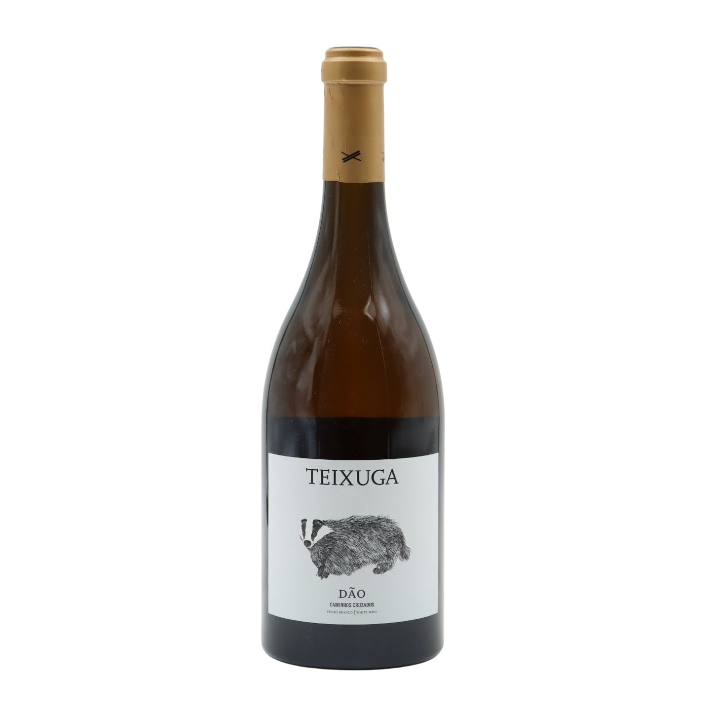 Teixuga Branco 2019