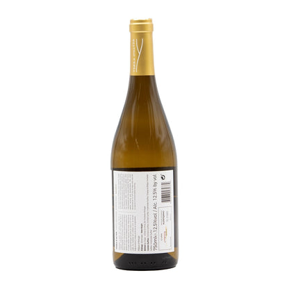 Terra D'Alter Expression White 2022