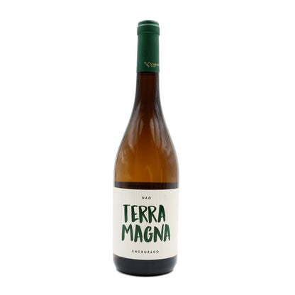 Terra Magna Encruzado Branco