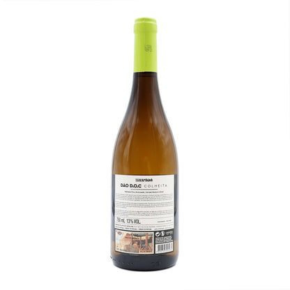 Terra Magna Selected Harvest Branco
