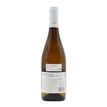 Terra Montana Reserva Branco 2022