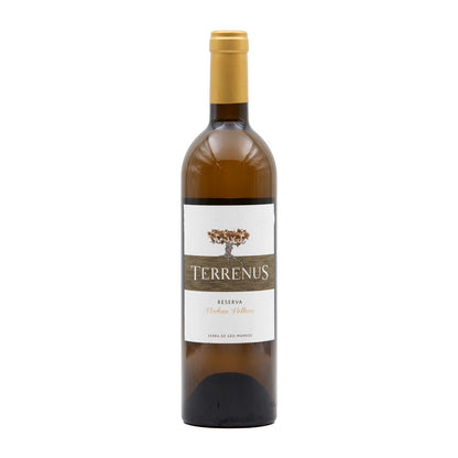 Terrenus Vinhas Velhas Reserva Branco