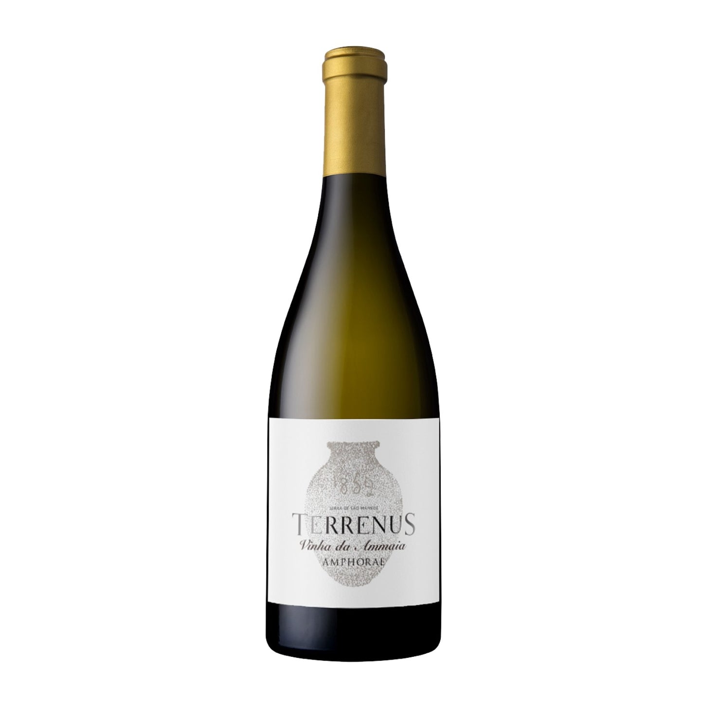 Terrenus Vinha da Ammaia Amphorae White 2022