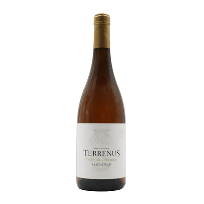 Terrenus Vinha da Ammaia Amphorae Branco