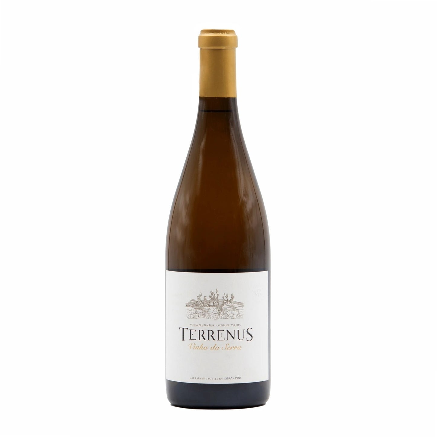 Terrenus White Wine 2023