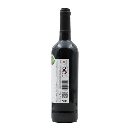 Tyto Alba Tinto