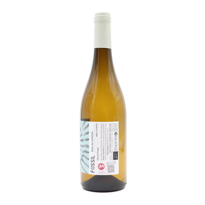 Vale da Capucha Fossil Branco 2019