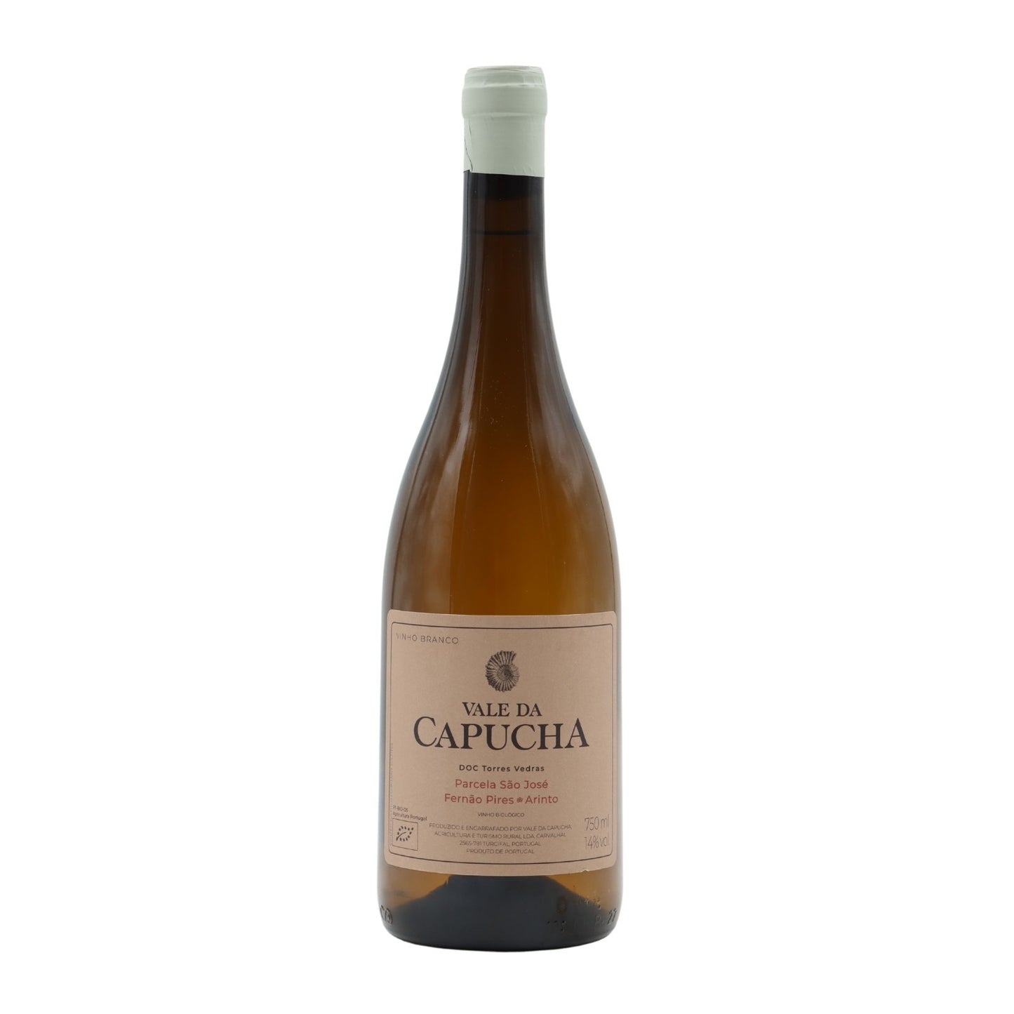 Vale da Capucha Parcela São José Branco 2018