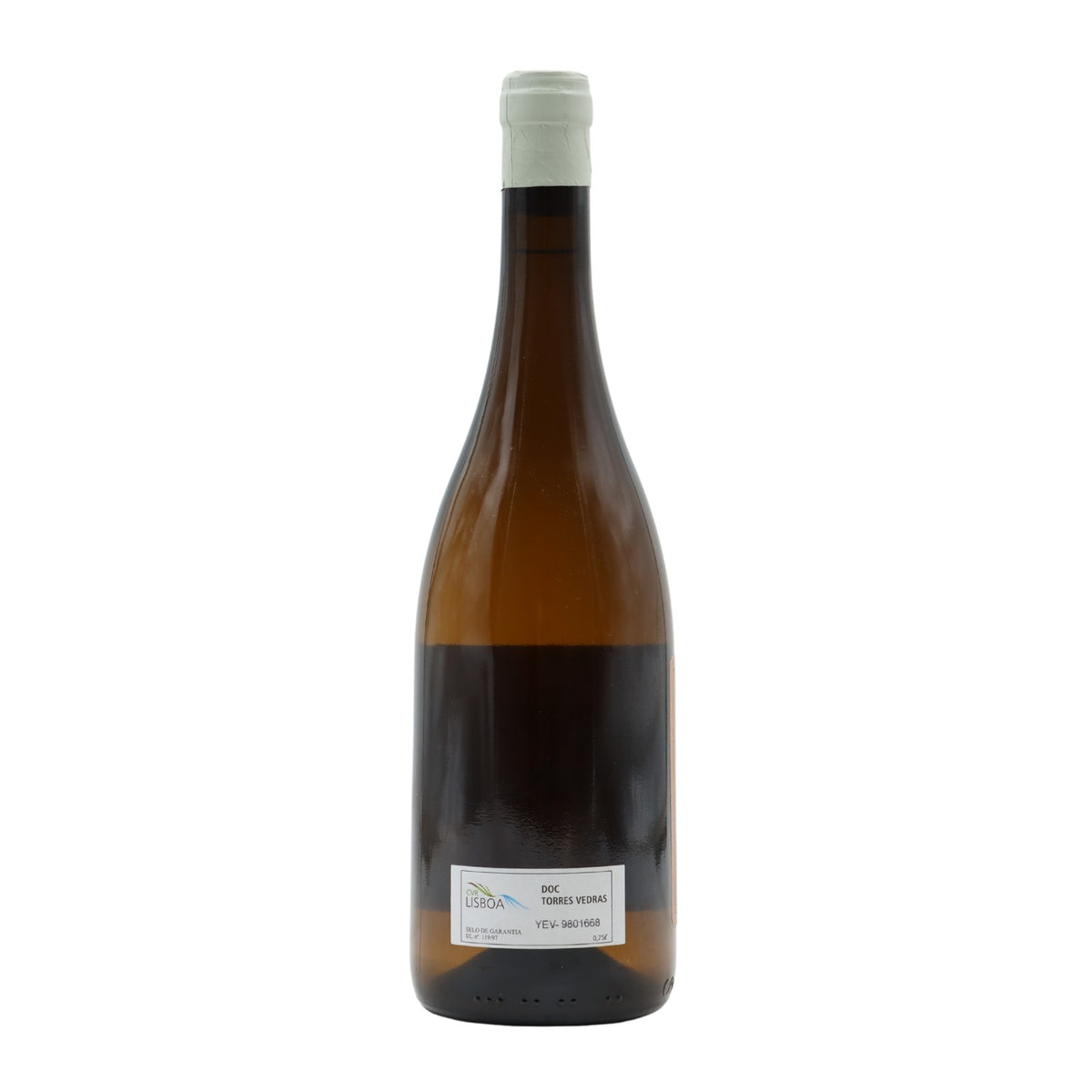 Capucha Valley Plot of São José White 2018