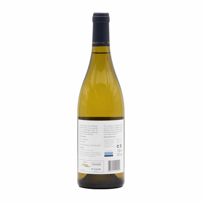 Vicentino Alvarinho Branco 2020