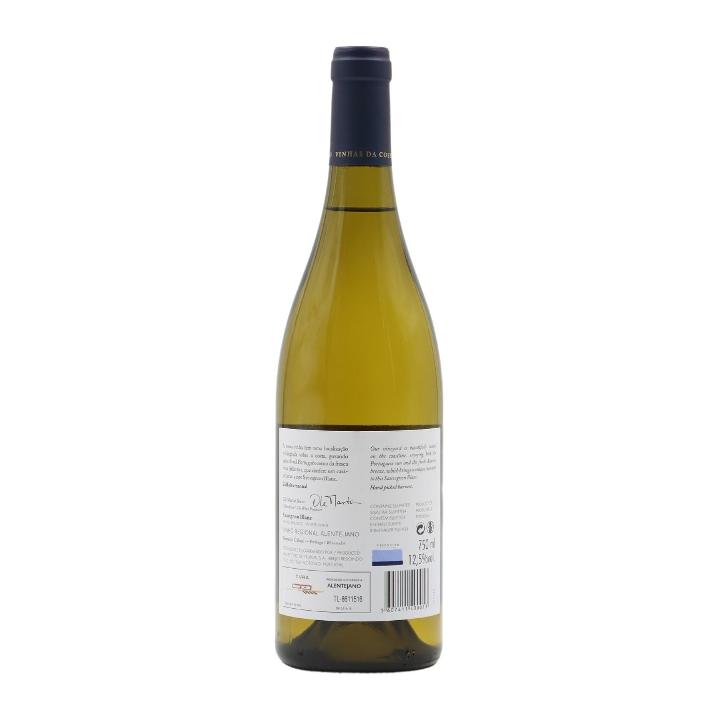 Vicentino Sauvignon Blanc Branco